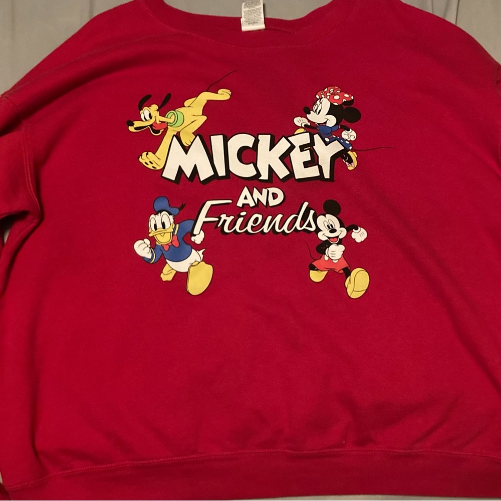Minnie Mouse and Friends XXL sweatshirt